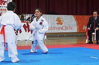 Araucanía: SalmonChile dona tatami para campeonato de karate
