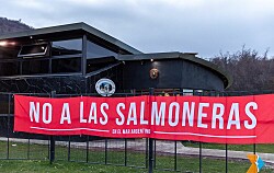 Argentina: Tierra del Fuego prohibirá por ley el cultivo de salmones