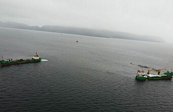 Armada realiza desvarada de motonave que transporta alimento para salmones