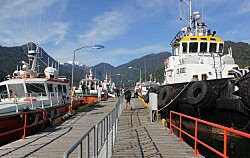 Nuevos servicios de transporte entre Magallanes, Aysén y Los Lagos