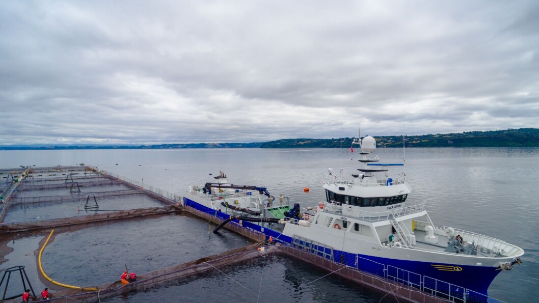 Imagen referencial de wellboat. Foto: Archivo Salmonexpert. Imagen referencial de wellboat. Foto: Archivo Salmonexpert.