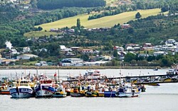 Armasur propone que carga industrial salga desde puertos de Chiloé