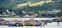 Armasur propone que carga industrial salga desde puertos de Chiloé