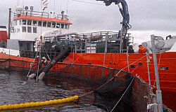 Salmonicultores y navieros comprometen operación segura ante nuevas cuarentenas