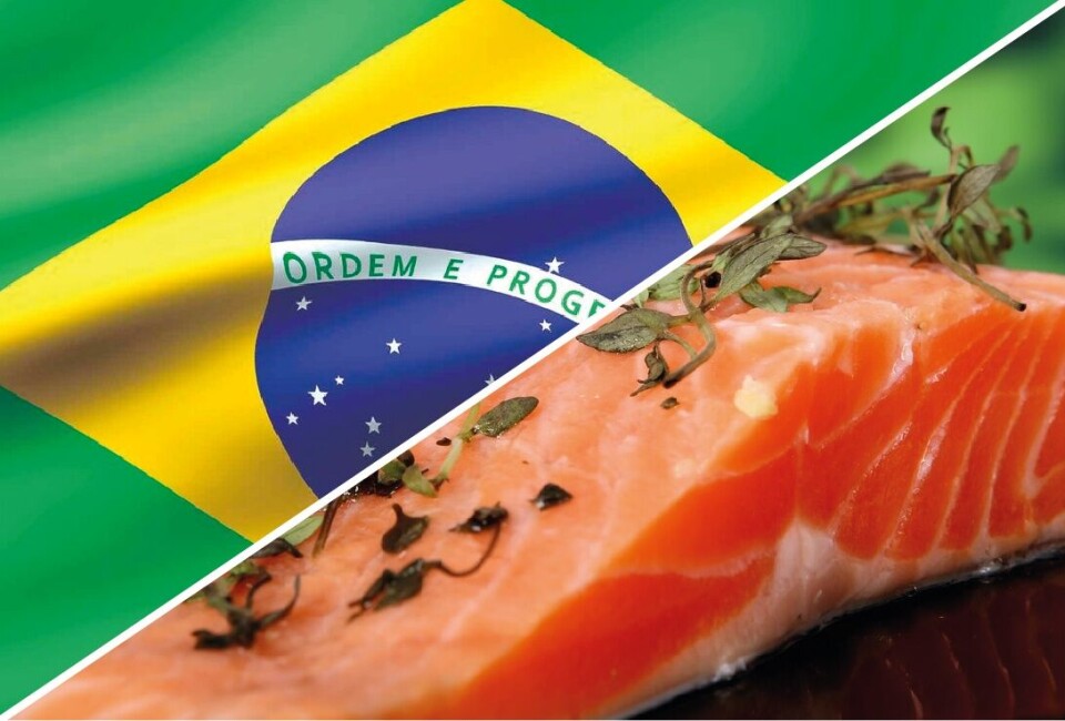 Cuatro productos de salmón con etiqueta ASC están disponibles en las 125 tiendas de supermercados Swift de Brasil. Foto: Archivo Salmonexpert.