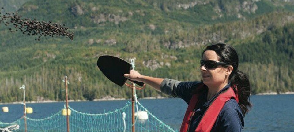 ¿Cuántos ingredientes marinos usados por los salmonicultores chilenos están certificados?