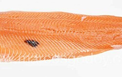 Caracterizan melanosis focal en salmón Atlántico