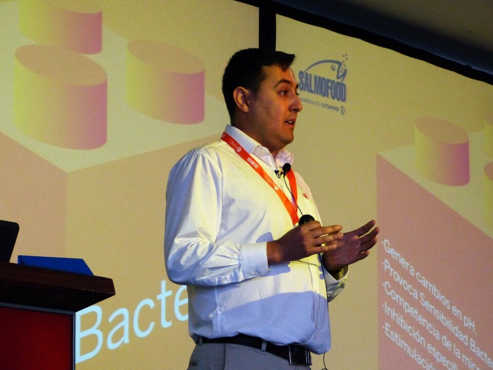 Raúl Cabezas, asesor técnico y de post venta de salud en peces de Salmofood. Foto: Loreto Appel, Salmonexpert.