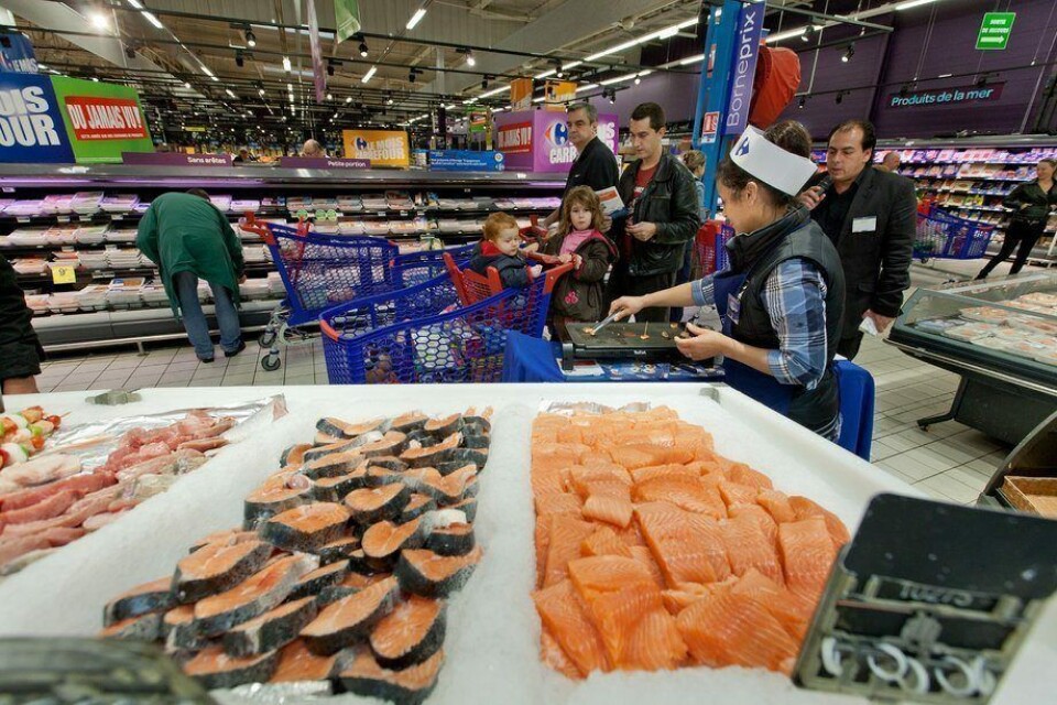 Los retornos por envíos de salmón y trucha de Chile iniciaron con un aumento este año. Foto: Archivo Salmonexpert.