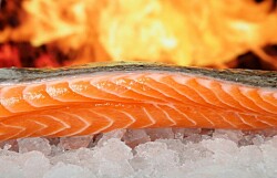 Disminuye precio semanal del salmón noruego