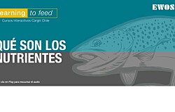 Cargill Chile lanza nueva plataforma de e-learning sobre nutrición de peces