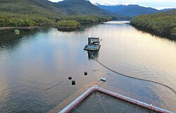 Cargill destaca resultados obtenidos por Australis en producción de salmón Atlántico