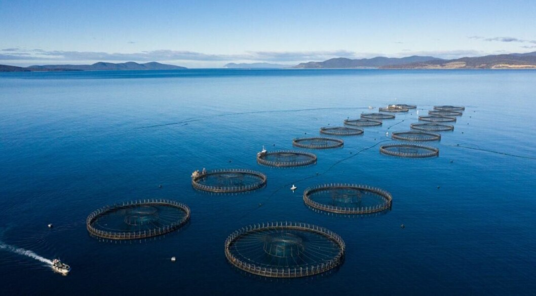 Centro de cultivo de Tassal en Tasmania. Foto: Archivo Salmonexpert. Centro de cultivo de Tassal en Tasmania. Foto: Archivo Salmonexpert.
