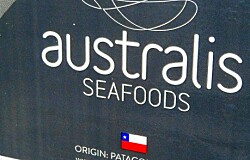 Australis Seafoods sube sus ingresos pero disminuye sus ganancias