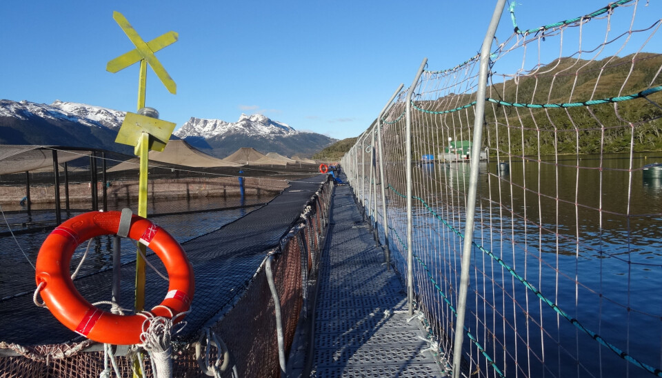 Arbitraje de Australis Seafoods en recta final y con ánimos caldeados