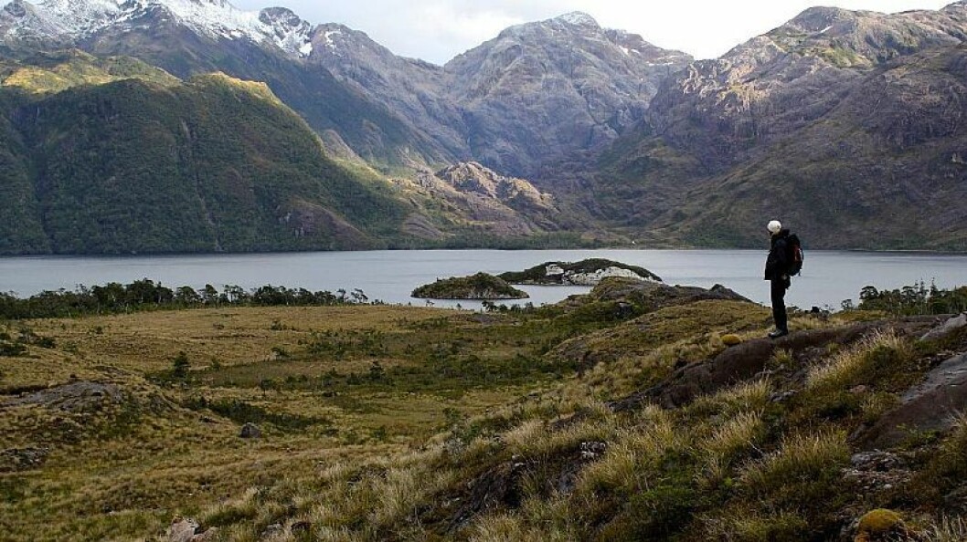 Reserva Nacional Kawésqar. Foto: Archivo Salmonexpert. Reserva Nacional Kawésqar. Foto: Archivo Salmonexpert.
