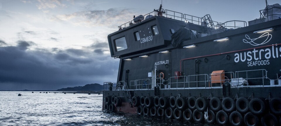 Tribunal autoriza solicitud para acceder a correos de Isidoro Quiroga en Caso Australis