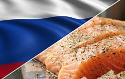 Autoridad rusa bloquea entrada a salmón chileno de cuatro productores