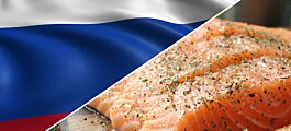 Australis y Mowi defienden su salmón tras bloqueo de autoridad rusa