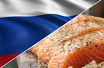 Proveedores de alimento suspenden sus ventas en Rusia