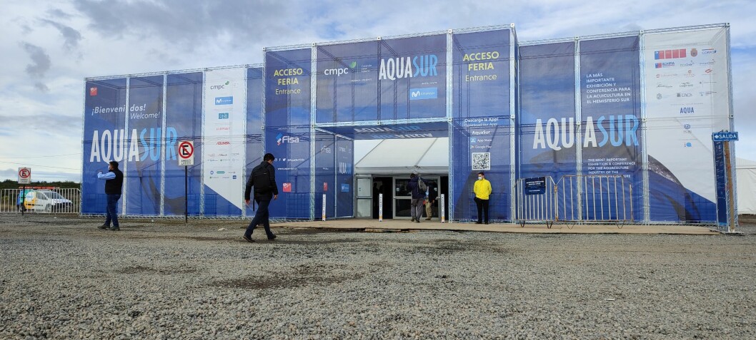 La Cena AquaSur 2022 se realizará el próximo 11 de agosto, en el Hotel Enjoy de Puerto Varas. Foto de contexto: Salmonexpert.