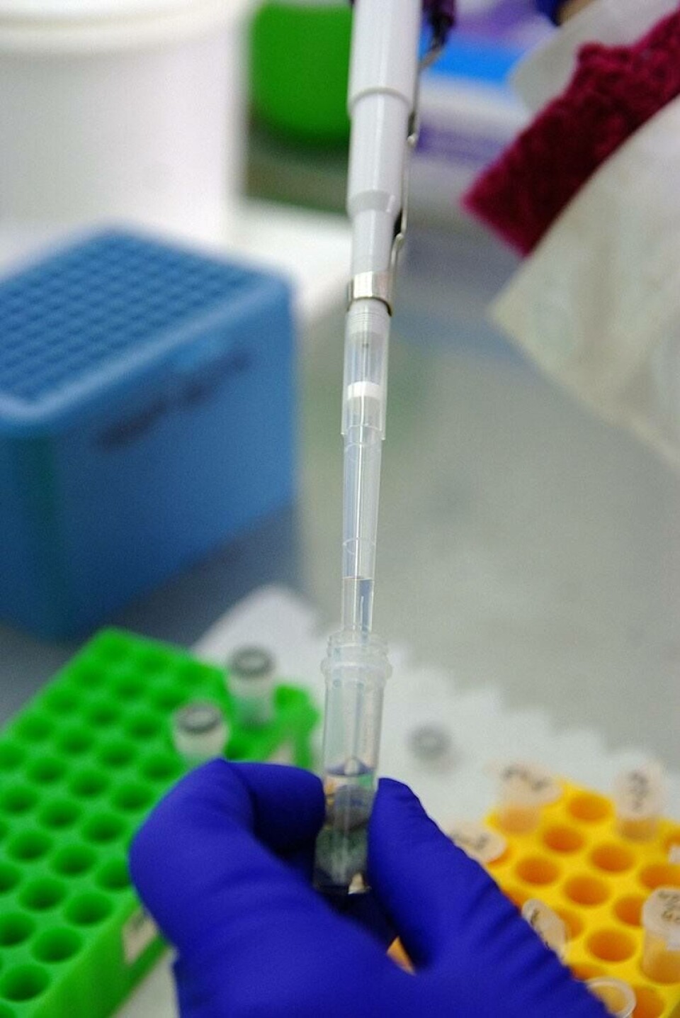 CIC Colaco también está expandiendo su enfoque de trabajo mediante la integración de una instalación de salud de camarones. Imagen: CIC Colaco.