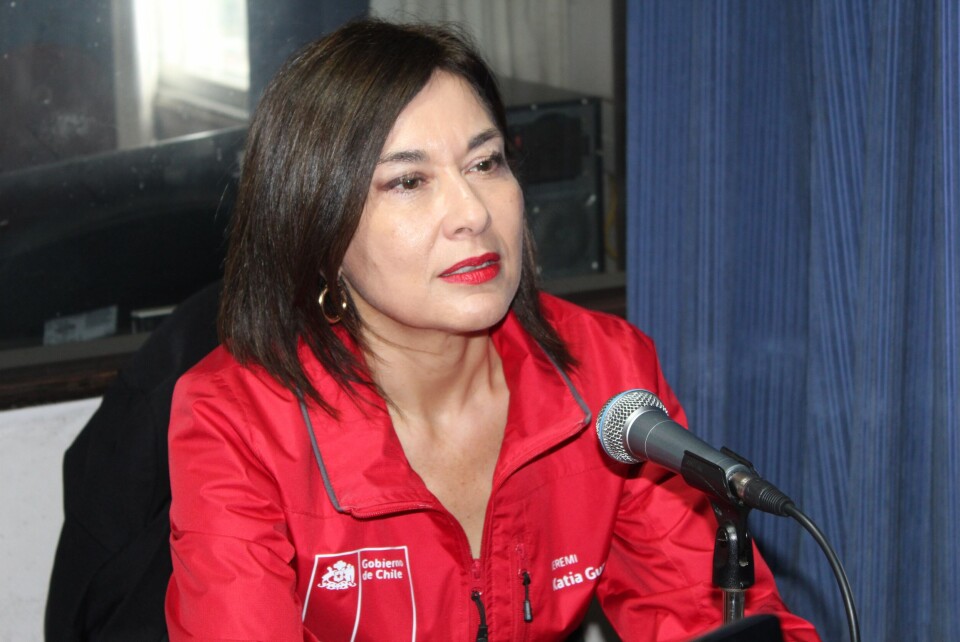 Katia Guzmán, Seremi de Salud de La Araucanía. Imagen: Gobierno de Chile.