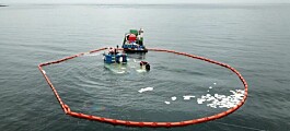 Autoridad Marítima denuncia trazas de  combustible ligadas a pontón salmonicultor