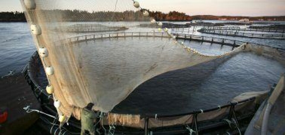 Camanchaca reduce el uso de antifouling