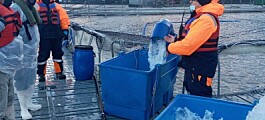 Autoridad Marítima fiscaliza centros de salmón en sector de Isla Capitán Aracena