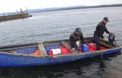 Autoridad Marítima incautó casi media tonelada de salmón