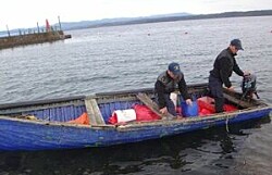 Autoridad Marítima incautó casi media tonelada de salmón