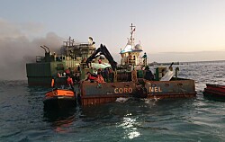 Autoridad Marítima investiga nuevo incidente en centro de salmón