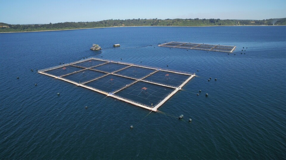 Centro de cultivo de salmónidos de AquaChile. Foto: AquaChile.