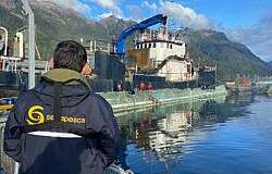 Centros de Mowi Chile reportan mortalidad masiva de salmón por FAN