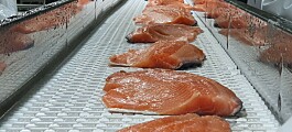 Se avecinan tiempos más difíciles para los productores de salmón según Rabobank
