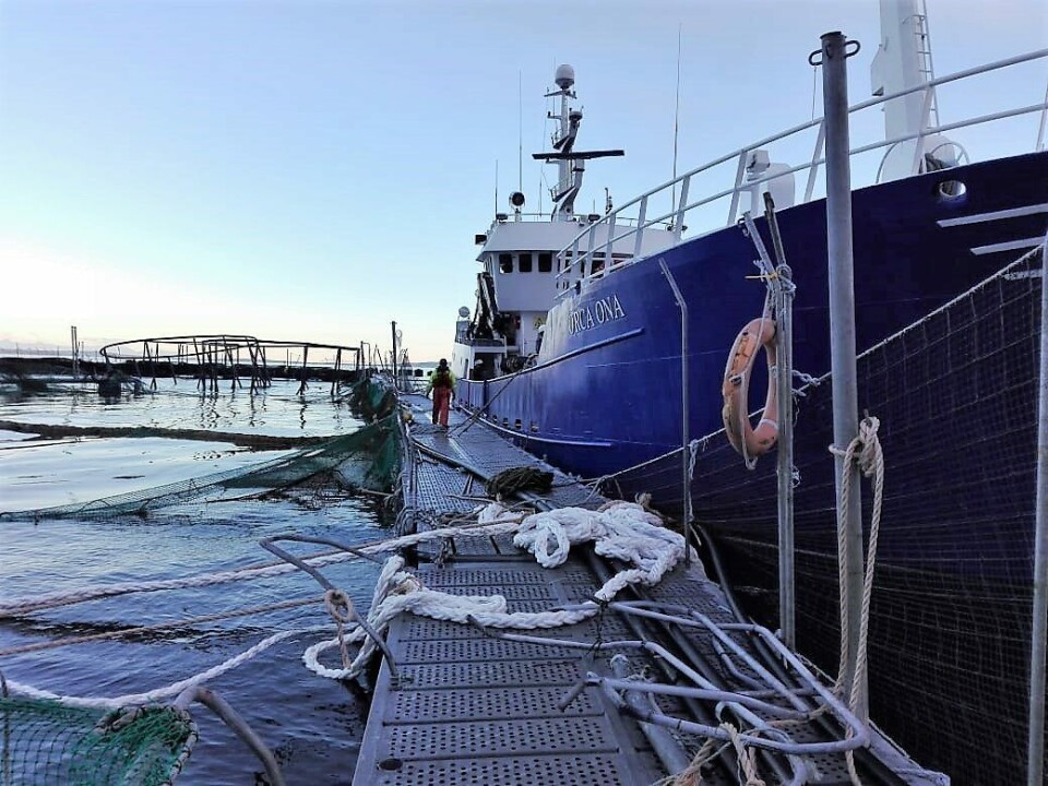 Centro Punta Redonda. Foto: Marine Harvest Chile.