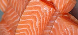 Sernapesca reafirma que salmón chileno está libre de residuos antimicrobianos