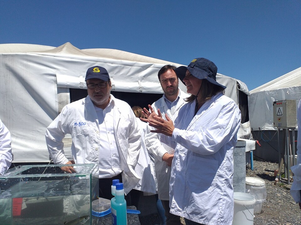 Autoridades sectoriales en visita a piscicultura de Cermaq. Foto: SalmonChile.