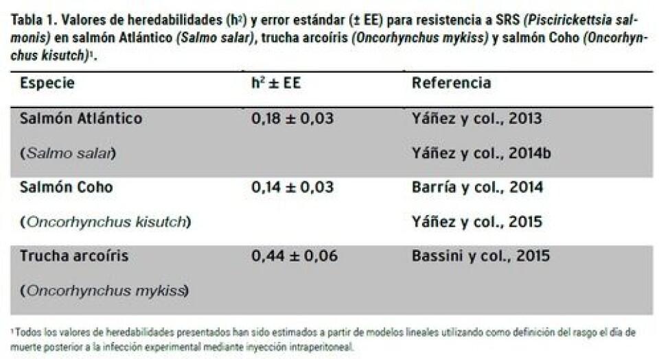 Avances en el mejoramiento genético de la resistencia al Síndrome Rickettsial del Salmón (Pisciricketsia salmonis): integrando la información del genoma