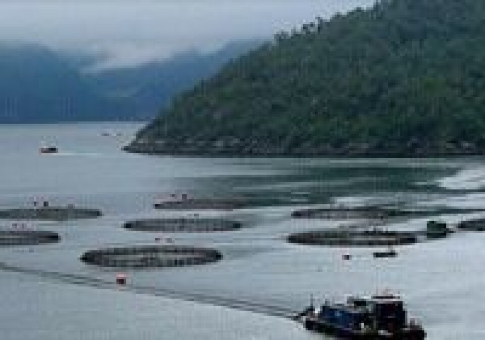 Foto referencial, archivo Salmonexpert.