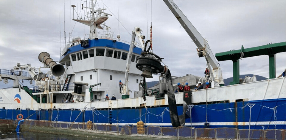 Las faenas de extracción de la mortalidad comenzaron el sábado 8 de enero y será procesada en una planta de harina de pescado especialmente habilitada para estos efectos. Foto: Blumar.