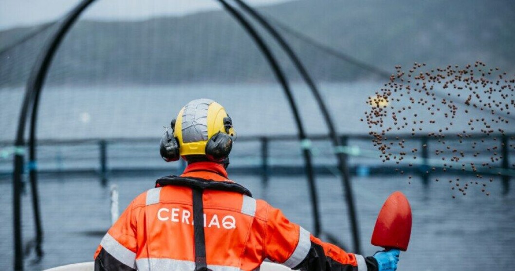 Según Cermaq, el mercado ruso representa un pequeño porcentaje del mercado mundial total de salmón y trucha. Foto ilustrativa: Cermaq. Según Cermaq, el mercado ruso representa un pequeño porcentaje del mercado mundial total de salmón y trucha. Foto ilustrativa: Cermaq.