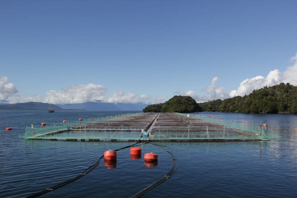 Imagen referencial de centro de cultivo de salmón. Foto: Archivo Salmonexpert.