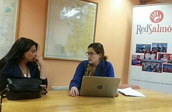 Aysén: Red Salmón presentó más de 300 ofertas laborales