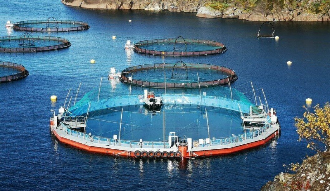 Centro de Cermaq en Noruega. Centro de Cermaq en Noruega.