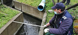 Cermaq toma medidas tras denuncia por contaminación en Río Pescado