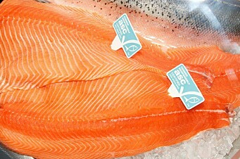 ASC rechaza calificación de Seafood Watch y afirma que trucha chilena es confiable