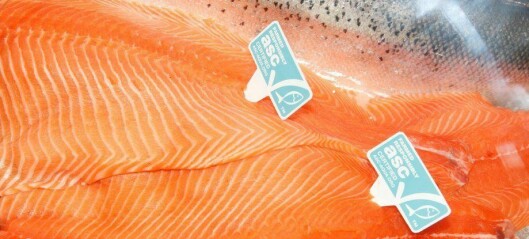 ASC rechaza calificación de Seafood Watch y afirma que trucha chilena es confiable