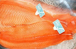 Certificación ASC crea nuevo estándar para alimentos de salmón